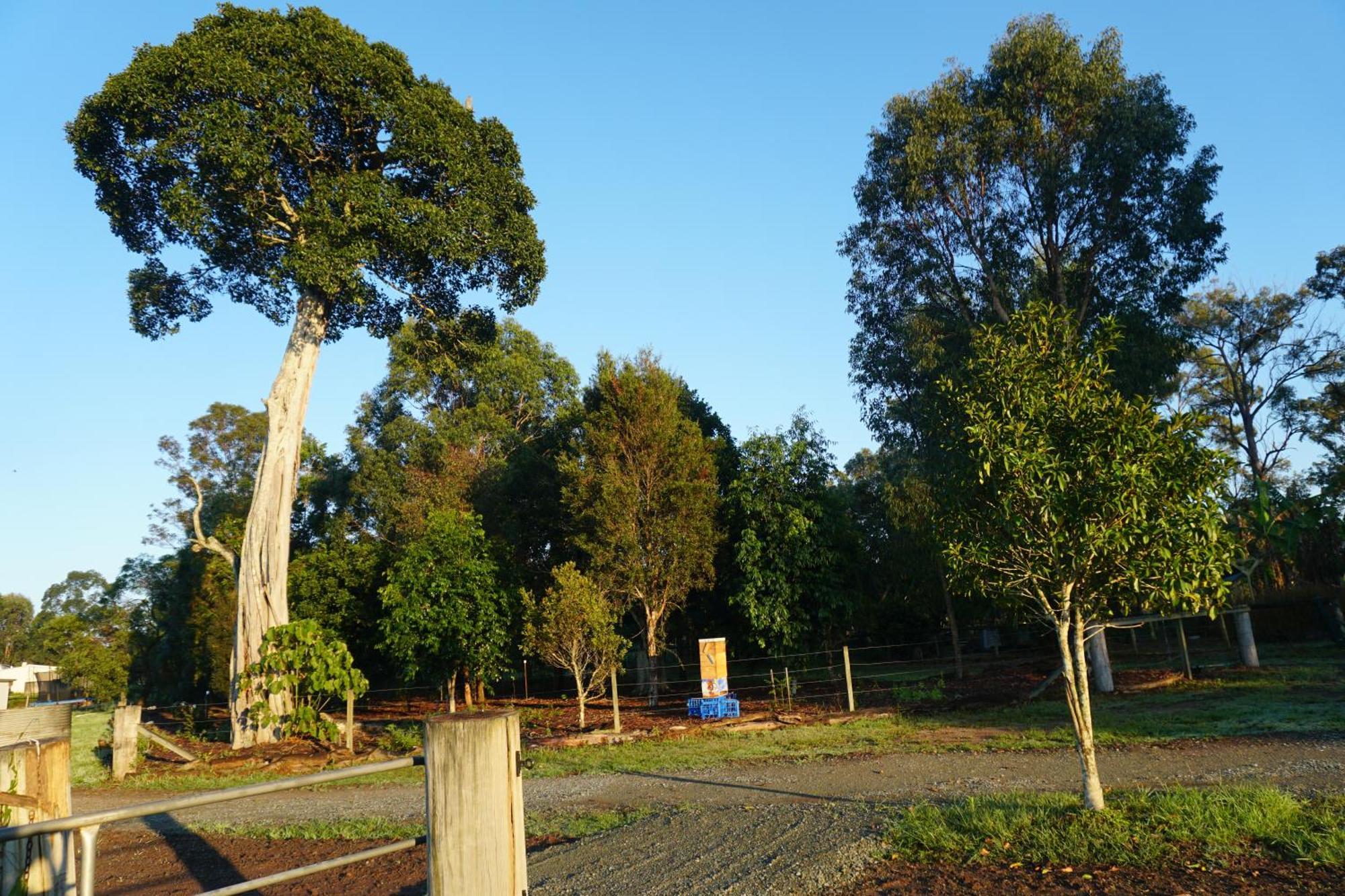 Narangba Motel Buitenkant foto